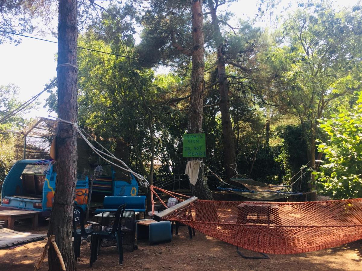 Odem Guest House المظهر الخارجي الصورة